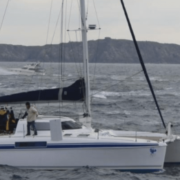 Netz - Catana 39