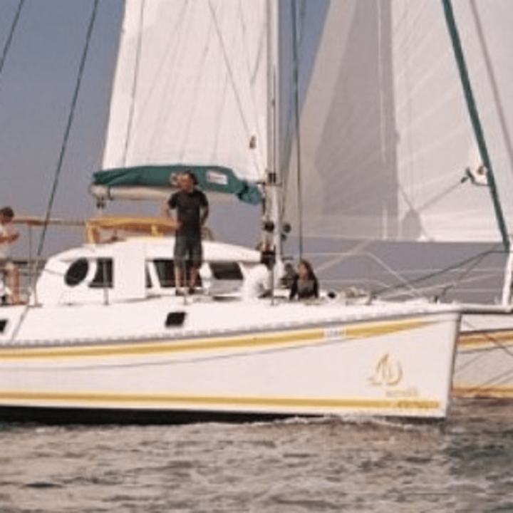 Net for Outremer 42